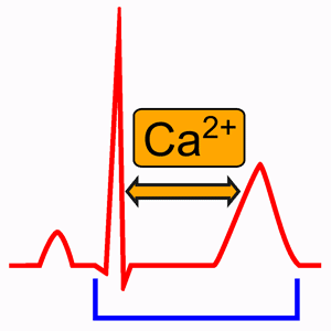 Hypocalcemia and the Heart